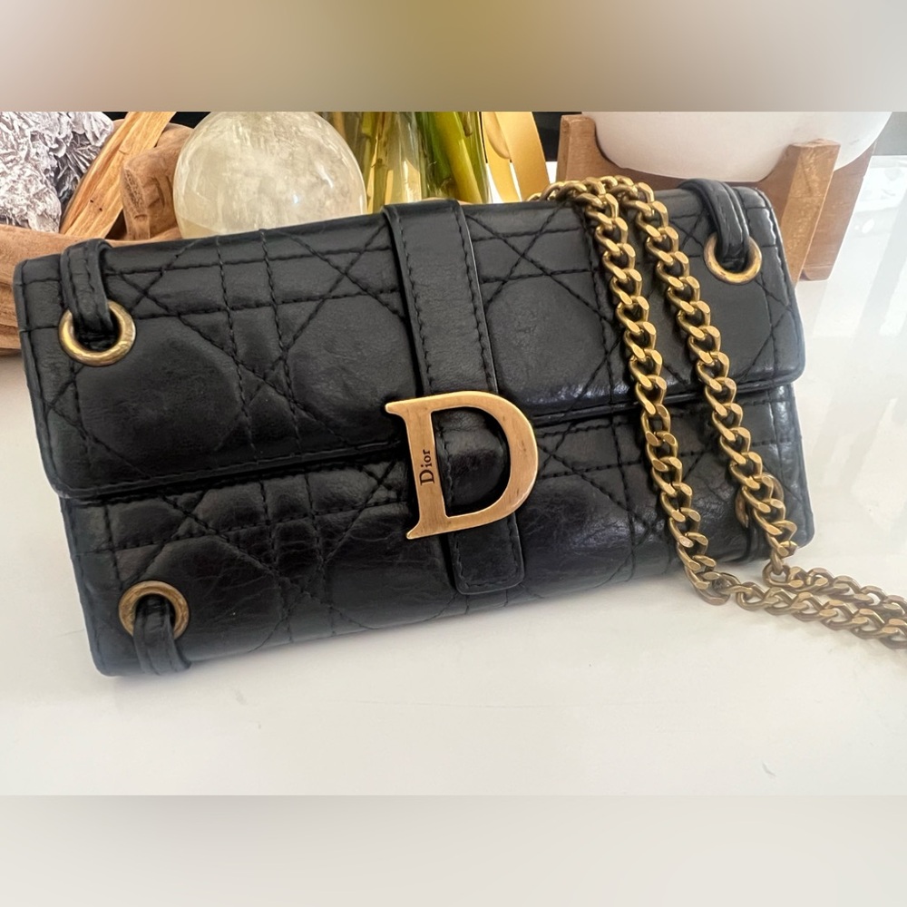 DIOR Wallet On Chain (Authentic!)